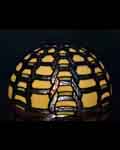 13 inches tiffany lamp shade SH13001